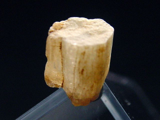 Phenakite crystal 7 mm - Piracicaba, Minas Gerais, Brazil