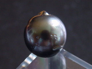 Black Tahitian Pearl 12 mm loose undrilled - French Polynesia