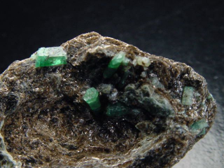 Emerald crystal specimen 56 mm - Habachtal, Austria