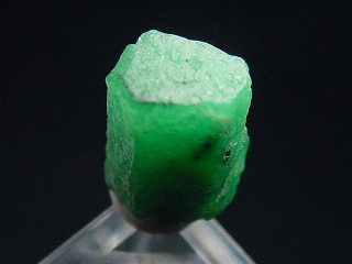Emerald crystal 8,5 mm fine green - Muzo, Colombia