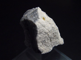 Gold kristallin in Quarz / Goldstufe 29 mm - 16-1 Mine, Kalifornien, USA