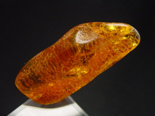 Amber specimen polished 38 mm Poland