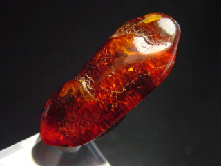 Amber specimen polished 37 mm Poland