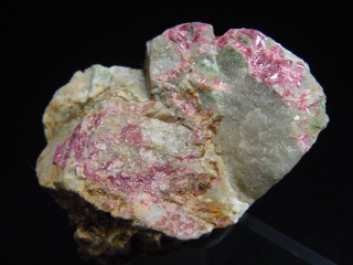 Erythrine specimen 33 mm Spain