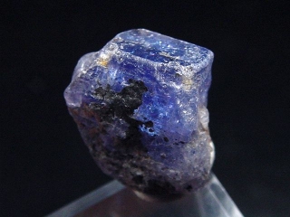Tanzanite crystal 15 mm fine crystal Merelani, Tanzania
