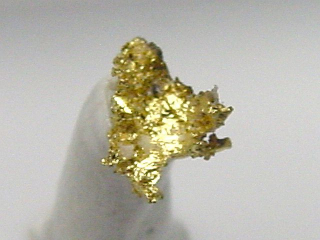 Gold crystalline 5 mm - Brusson, Val d'Aosta, Italy