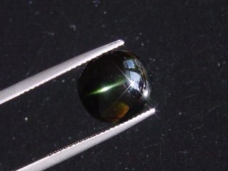 Enstatite Catseye 7,37 Ct. - oval cabochon - Sri Lanka