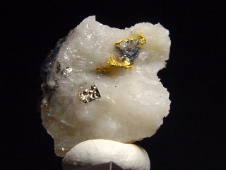 Gold kristallin in Quarz / Goldstufe 15 mm - Brusson, Val d'Aosta, Italien