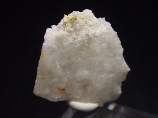 Gold crystalline in Quartz specimen 21 mm - Brusson, Val d'Aosta, Italy