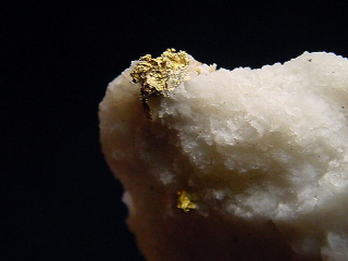 Gold kristallin in Quarz / Goldstufe 33 mm - Brusson, Val d'Aosta, Italien