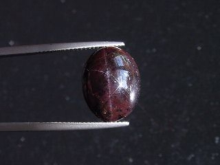 Star Garnet 18,13 Ct. four ray star cabochon India