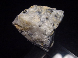 Gold crystalline in Quartz specimen 34 mm - Brusson, Val d'Aosta, Italy