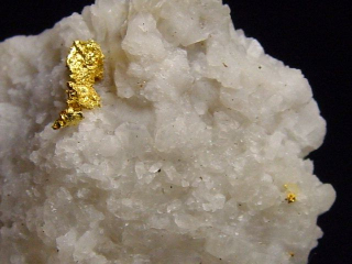 Gold kristallin in Quarz / Goldstufe 38 mm - Brusson, Val d'Aosta, Italien