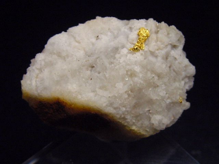 Gold kristallin in Quarz / Goldstufe 38 mm - Brusson, Val d'Aosta, Italien