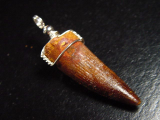 Spinosaurus tooth pendant 925 silver - 5,0 cm - Spinosaur Dinosaur