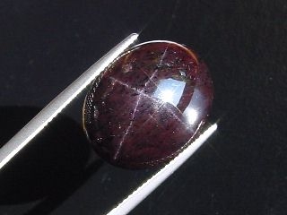 Star Garnet 26,53 Ct. 4-ray star cabochon India