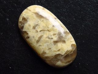 Serpentinit 39,60 Ct. Oval Cabochon