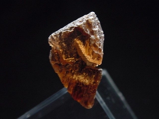 Enstatite crystal 27 mm - Mbeye, Tanzania