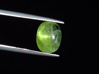 Peridot cat's eye 7,07 Ct. - apple green - oval cabochon