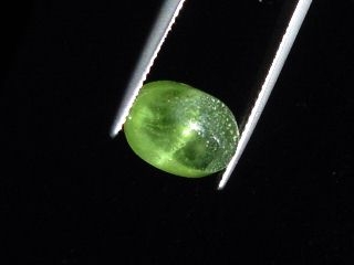 Peridot cat's eye 6,36 Ct. - apple green - oval cabochon