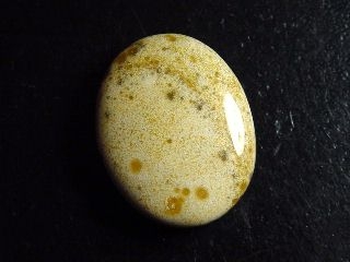 Jasper 30,57 Ct. oval cabochon Brazil