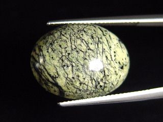 Nephrit Jade in Serpentinit 14,59 Ct. Cabochon Kanada