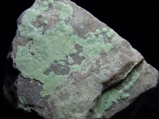 Variscite / Utah Turquoise 32 mm - Utah, USA