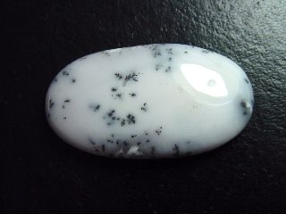 Dendritenopal 68,33 Ct. Oval Cabochon Indien