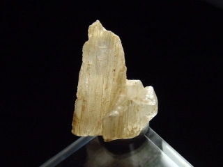 Hambergite crystal 18,5 mm - Anjabonina, Madag.