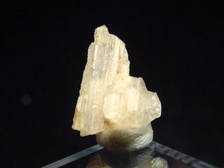 Hambergite crystal 18,5 mm - Anjabonina, Madag.