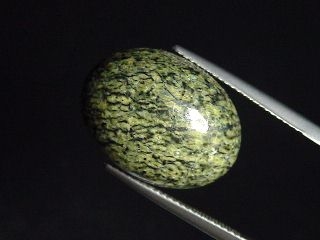 Nephrit Jade in Serpentinit 15,18 Ct. Cabochon Kanada