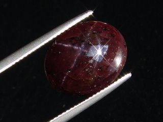 Sterngranat 16,92 Ct. 4-strahliger Stern Cabochon Indien