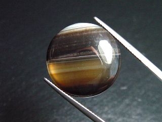 Agate 20,34 Ct. banded - round cabochon Brazil
