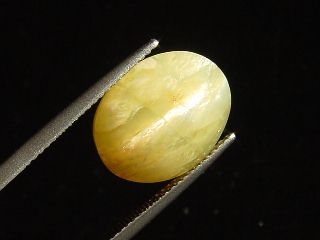 Opal cat's eye 7,67 Ct. oval cabochon Brazil