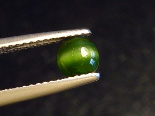 Diopside cat's eye 0,70 Ct. green round cabochon - Merelani, Tanzania