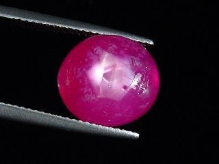 Star Ruby 14,14 Ct. oval cabochon - rosered - treated