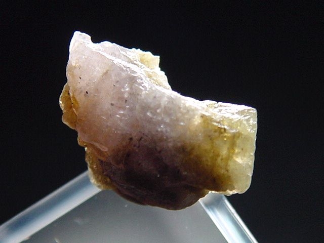 Axinite / Magnesioaxinite crystal 14 mm - Merelani, Tanzania