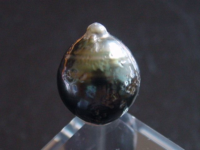 Black Tahitian Pearl 14 mm loose undrilled - French Polynesia