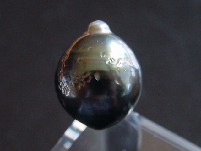 Black Tahitian Pearl 14 mm loose undrilled - French Polynesia