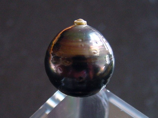 Black Tahitian Pearl 12,5 mm loose undrilled - French Polynesia