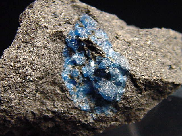 Hauyne / Hauynite specimen 28 mm - Laacher See, Eifel, Germany