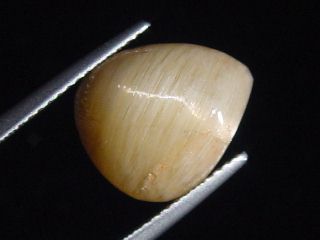 Danburite cat's eye 6,37 Ct. yellow - Morogoro, Tanzania