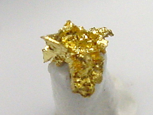 Gold crystalline 4 mm - Brusson, Val d'Aosta, Italy