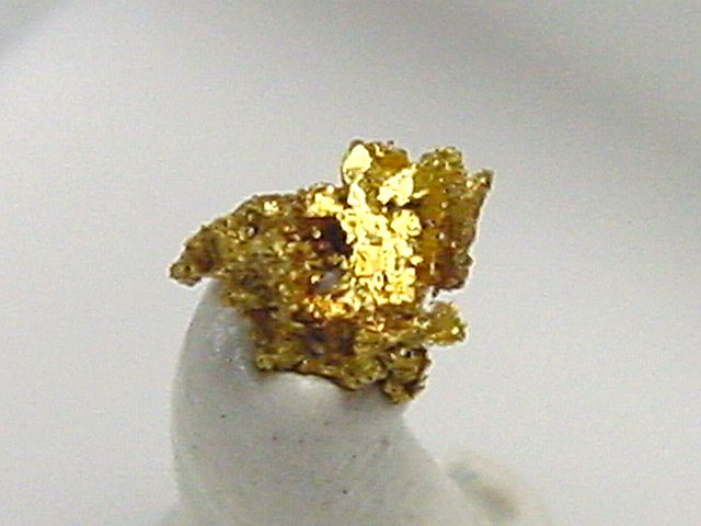 Gold crystalline 4,5 mm - Brusson, Val d'Aosta, Italy