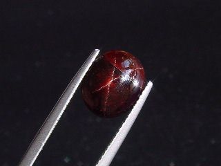 Sterngranat 7,29 Ct. 4-strahliger Stern Cabochon Indien fein