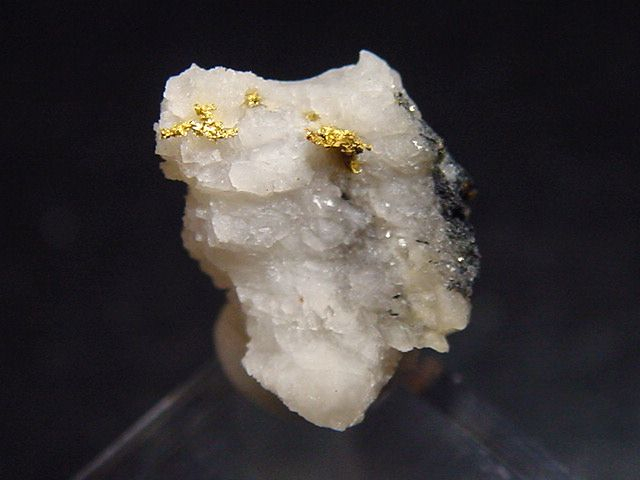 Gold kristallin in Quarz / Goldstufe 15 mm - Brusson, Val d'Aosta, Italien