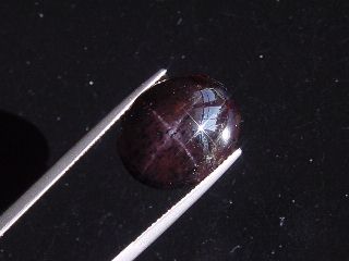 Sterngranat 19,41 Ct. 4-strahliger Stern Cabochon Indien