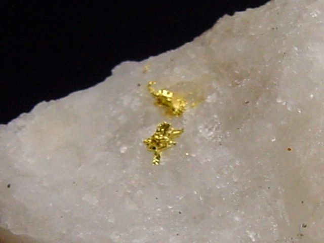 Gold kristallin in Quarz / Goldstufe 25 mm - Brusson, Val d'Aosta, Italien