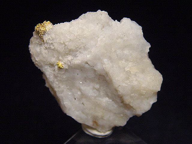 Gold kristallin in Quarz / Goldstufe 33 mm - Brusson, Val d'Aosta, Italien