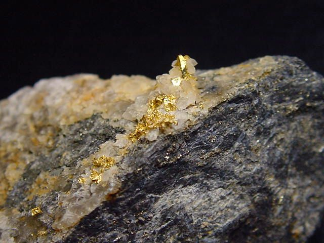 Gold crystalline in Quartz specimen 55 mm - Brusson, Val d'Aosta, Italy